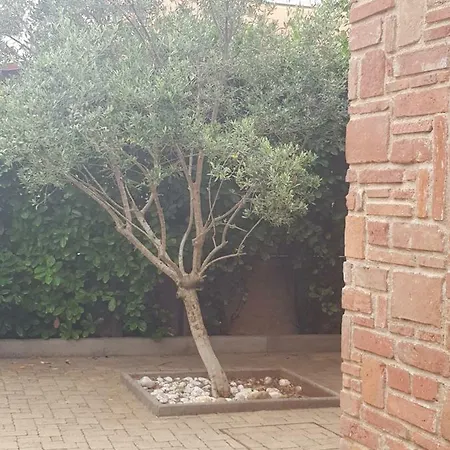 Allure Apartament Kornić